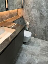 Leedon Green (D10), Condominium #578679921